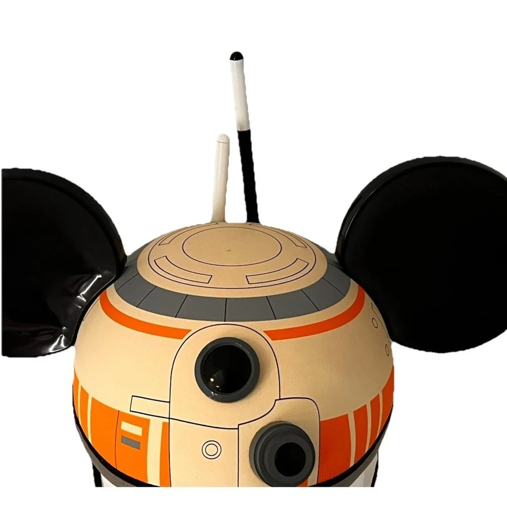 Disney parks star